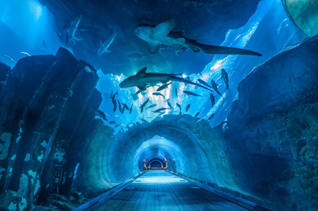 Аквариум и подводный зоопарк в Дубае